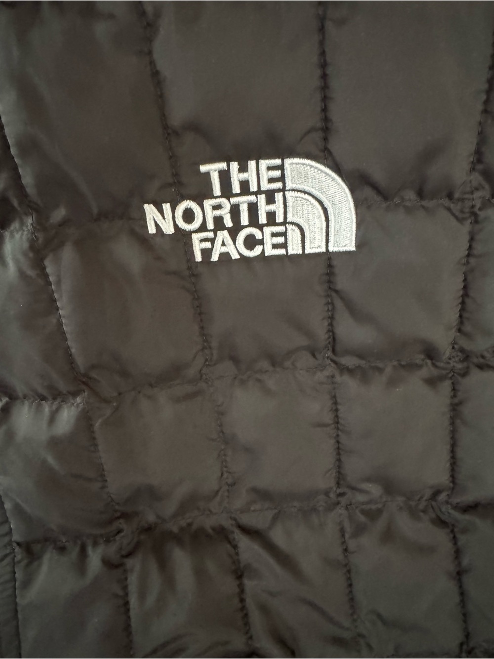 The North Face Men’s M ThermoBall Eco Vest Full Zip Puffer Black Logo - Picture 3 of 15